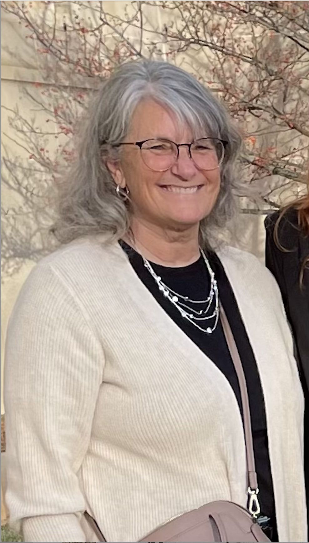 Laurie Faust